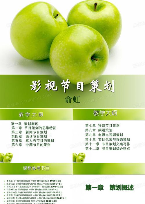 影视节目策划
